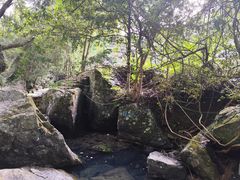 -石台牯牛降景区