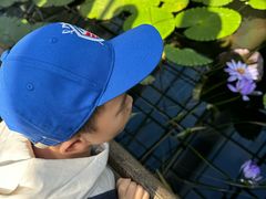 -国家植物园南园