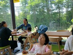 -上海野生动物园老虎餐厅