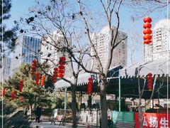 -团结湖公园
