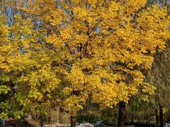 -羊亭河湿地公园