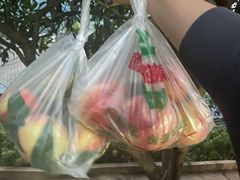-桃源山庄·水蜜桃采摘·柴火鸡·烧烤团建(龙泉山店)