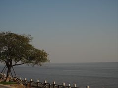 -观潮胜地公园