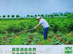 -黄泥岗·地道湖北菜(奥特莱斯店)