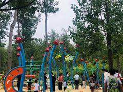 -合肥滨湖国家森林公园