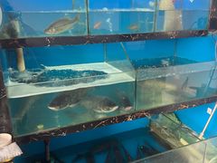 -天赋鱼馆(竹乡特色街店)