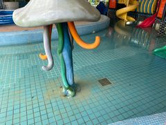 -南宫温泉水世界