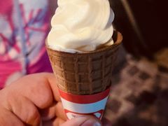 -富豪雪糕车流动点(尖沙咀店)