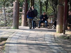 -凤栖山
