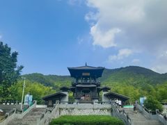 -大唐贡茶院