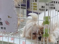 -金牛万达广场