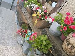 -蜜桃餐厅·江浙融合菜(荟聚购物中心店)