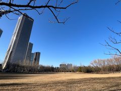 -大望京公园