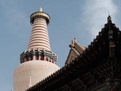 -张掖大佛寺景区