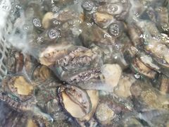 -盒马鲜生(红莲店)