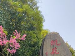 -桃花岛风景旅游区