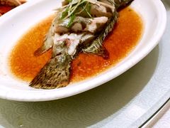 鳜鱼-锦江都城闵行饭店