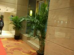 -上海龙之梦万丽酒店