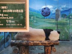 -上海野生动物园