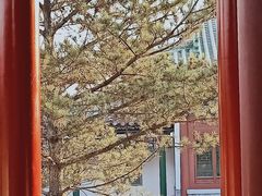 -迎泽公园