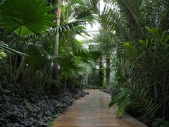 -国家植物园南园