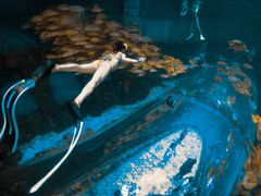 -华夏文旅海洋公园