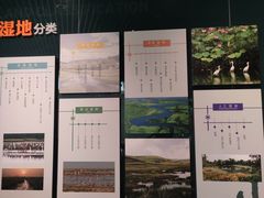 -中国湿地博物馆