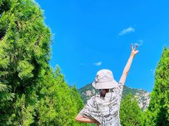 -禅宗少林·音乐大典