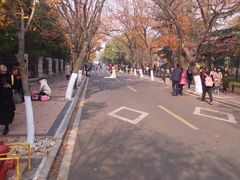 -八大关景区