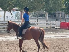 -北京群众马术培训基地