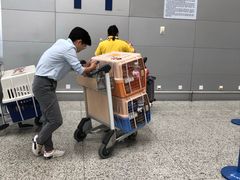 -上海浦东国际机场-T2航站楼