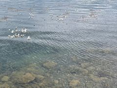 -丽江泸沽湖景区