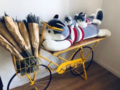 -Husky Go! 哈士奇体验馆·宠物咖啡厅狗咖