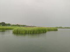 -苏州太湖国际会议中心