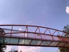 -仙岛湖旅游风景区