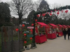 -秀丽东方