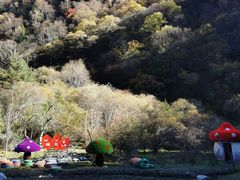 -叠溪松坪沟景区