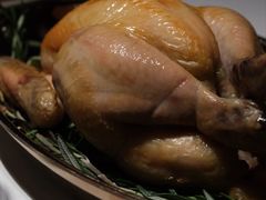 -Oyster Talks 四度蚝法餐厅