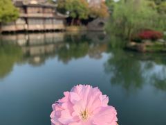 -韩湘水博园