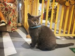 -小时光咖啡馆(开森度假森林店)