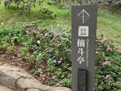 -广州市白云山风景名胜区