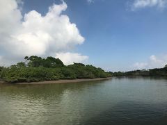 -东寨港红树林旅游区