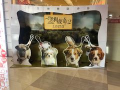 -中影新星影城(万科锦程店)