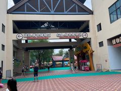 -苏州乐园森林水世界