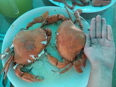 -崖口红树林海鲜餐厅