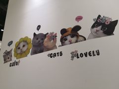 -藏猫猫咖啡主题馆(中央大道店)