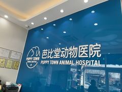 -芭比堂动物医院·CT·微创中心(新顺分院)
