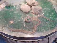 -新疆天山野生动物园