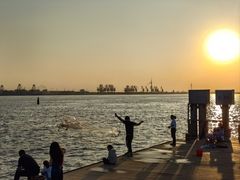 -东疆建设开发纪念公园