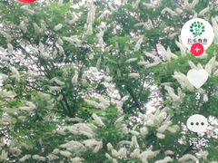 -黄公望隐居地